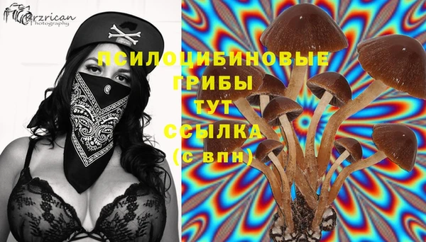 герыч Магас