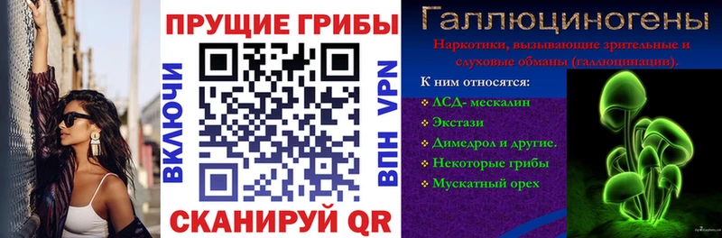 Галлюциногенные грибы Psilocybe  Невельск 